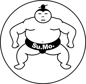 SuMo Teamentwicklung von Flüchter & Partner